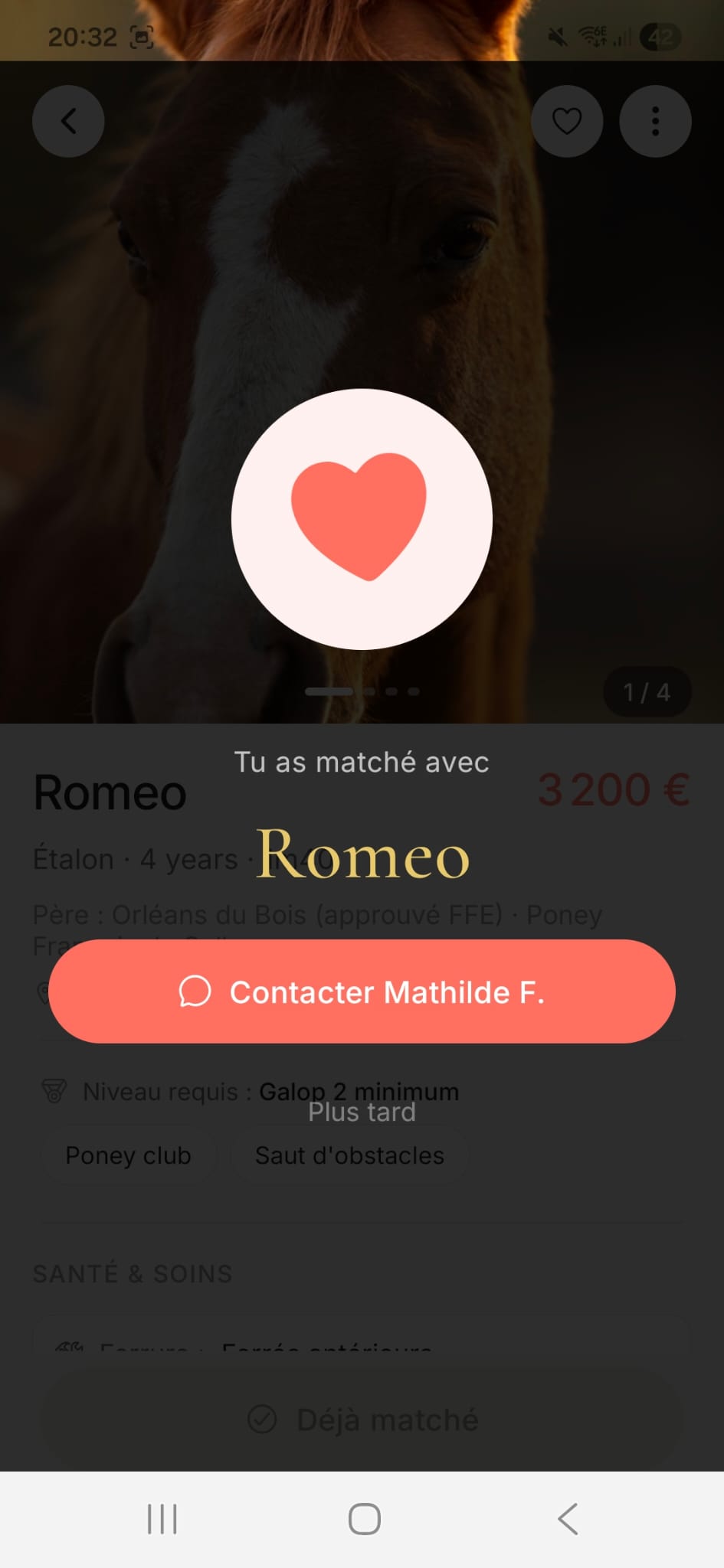 Écran de match Alezan : tu as matché avec le cheval